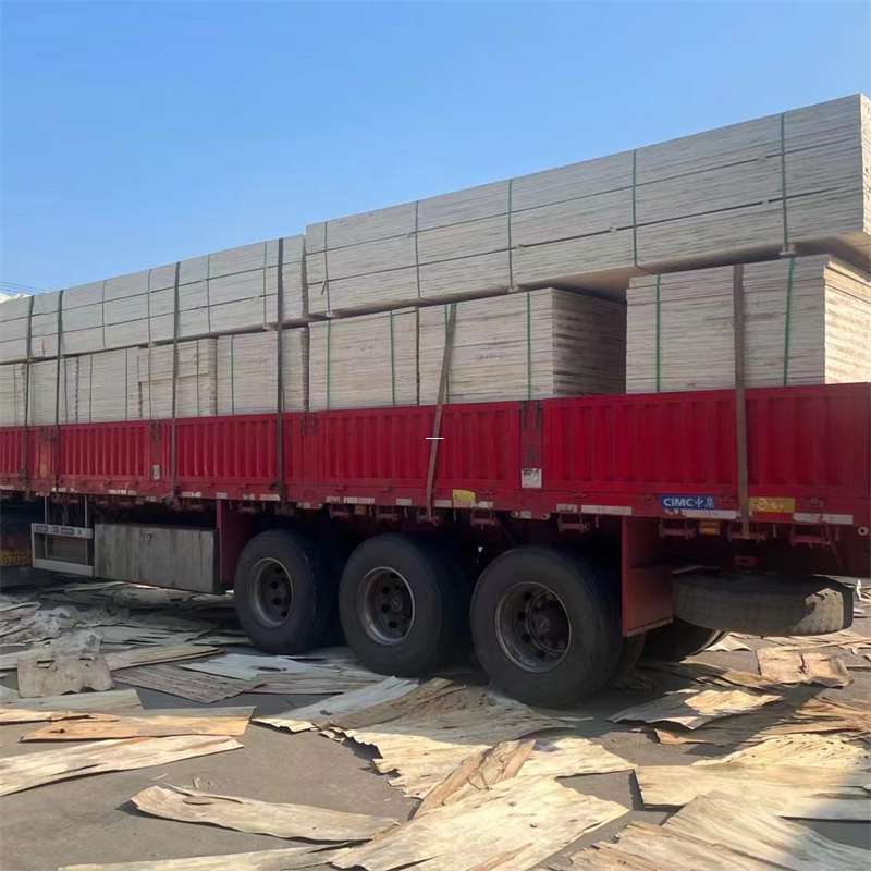 全椒县探索凉州区进仓物流的多元运输奥秘